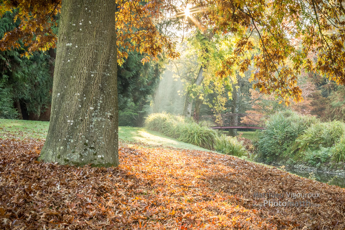 Jardin du Parc en automne, au lever du soleil.