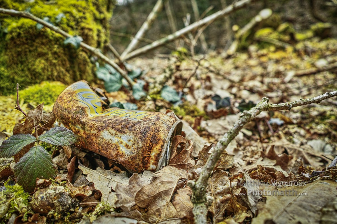 Série | La nature reprend ses droits #3